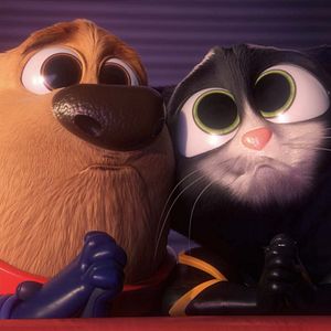Photo StarDog et TurboCat
