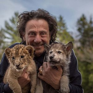 Photo Le Loup et le Lion
