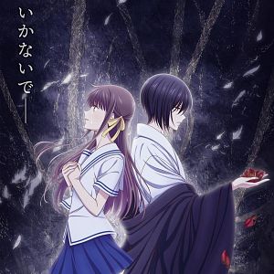 Photo Fruits Basket (2019)