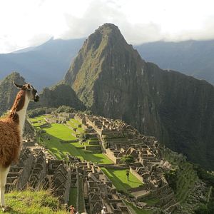 Photo L'histoire sous rayon X