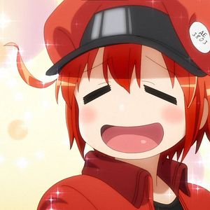 Photo Les Brigades immunitaires