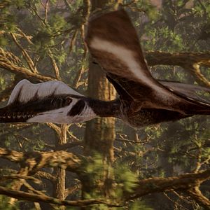 Photo Ptérodactyles 3D : Dans le ciel des dinosaures