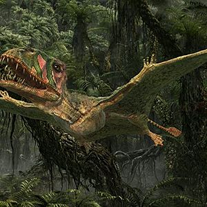 Photo Ptérodactyles 3D : Dans le ciel des dinosaures