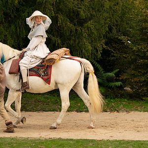 Photo Black Narcissus