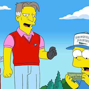 Photo Les Simpson