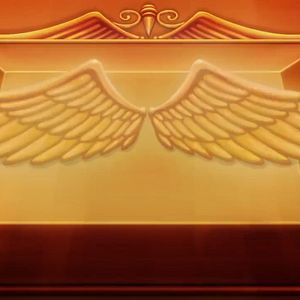 Photo Heaven's Design Team