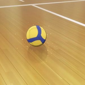 Photo 2.43 Seiin High School Boys Volleyball Team