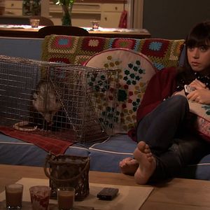 Photo Parks and Recreation