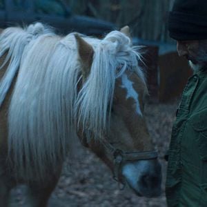 Photo Vangelis Mourikis