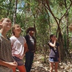 Photo Izzy et les koalas