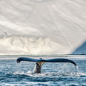 Photo Notre planète a ses limites : L'alerte de la science