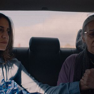 Photo Almila Bağrıaçık