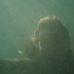 Photo Hors de l’eau