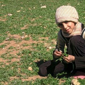 Photo Little Palestine, journal d'un siège