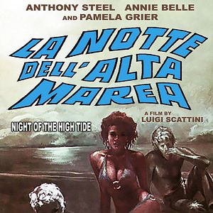 Photo La Notte dell'alta marea