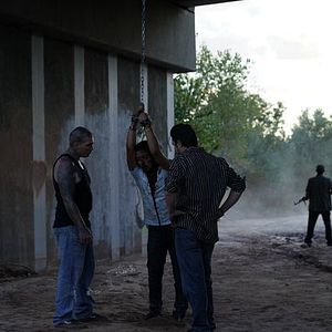 Photo Le Vétéran