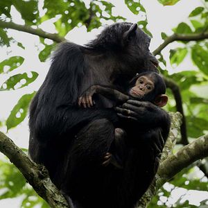 Photo Grandir dans le monde animal