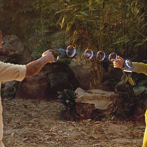 Photo Shang-Chi et la Légende des Dix Anneaux