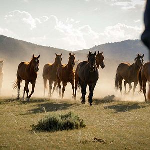 Photo Les Cowboys, mes héros