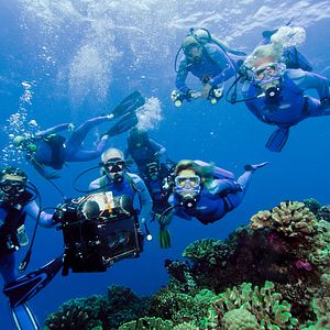 Photo Wonders of the Sea 3D