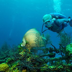 Photo Wonders of the Sea 3D