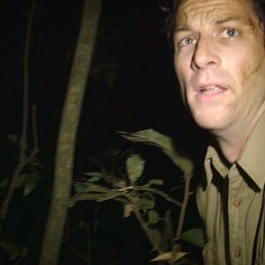 Photo The Jungle