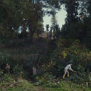 Photo Taming The Garden - Déracinés