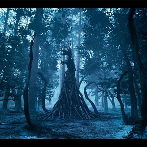 Photo The Witcher