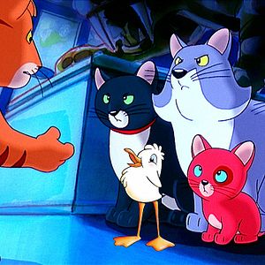 Photo La Mouette et le chat