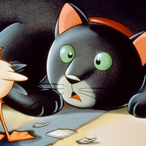 Photo La Mouette et le chat