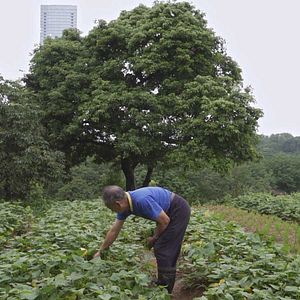 Photo Guanzhou, une nouvelle ère