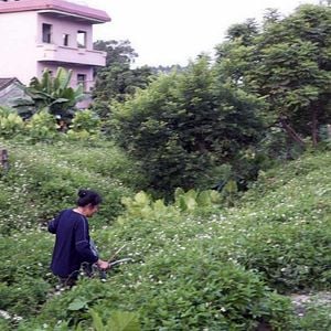 Photo Guanzhou, une nouvelle ère