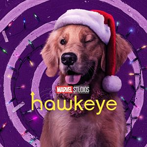 Photo Hawkeye