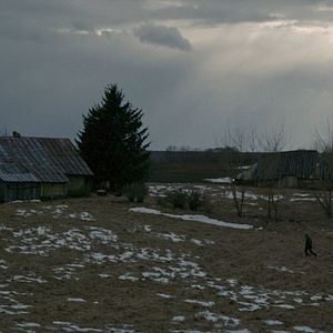 Photo Au crépuscule