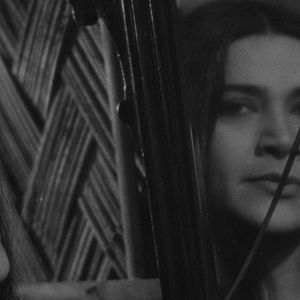 Photo L'Etoile cachée