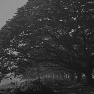 Photo L'Etoile cachée