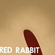 Photo Red Rabbit