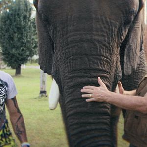 Photo Tiger King : Le cas Doc Antle