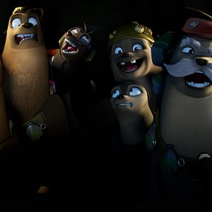 Photo Seal Team : Une équipe de phoques !