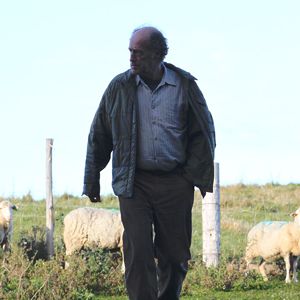 Photo Le Démantèlement