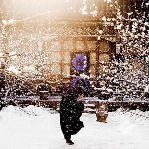 Photo The Grandmaster