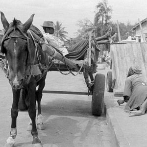 Photo Borom Sarret