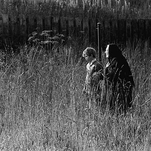 Photo Stephen Archibald