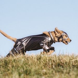 Photo Les Copains Super-Héros