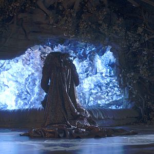 Photo La Belle et La Bête