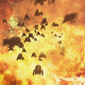 Photo Fire Wasps : L'ultime fléau
