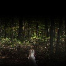 Photo In the Woods