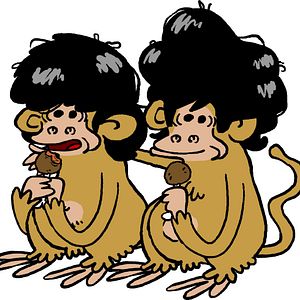 Photo Silex and the city