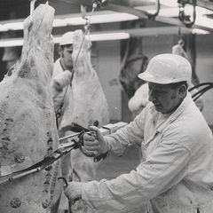 Photo Meat