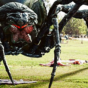 Photo Big Ass Spider